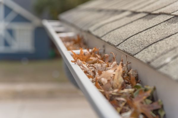 Leaf Barrier Installation in White Lake